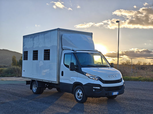 🚛 IVECO Daily 35C13 2.3 – Allestimento Trasporto Animali Vivi