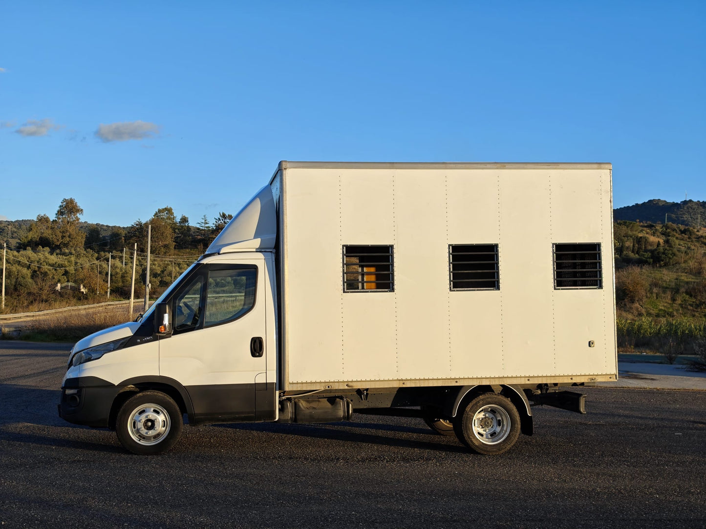 🚛 IVECO Daily 35C13 2.3 – Allestimento Trasporto Animali Vivi