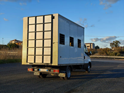 🚛 IVECO Daily 35C13 2.3 – Allestimento Trasporto Animali Vivi